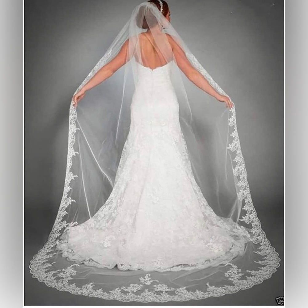 Cathedral length wedding veil new,only put on nice to try on.